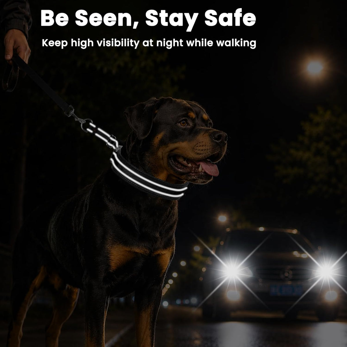 Mayerzon No Pull Collar with Alloy Buckle for Large Dogs that Pull Strongly