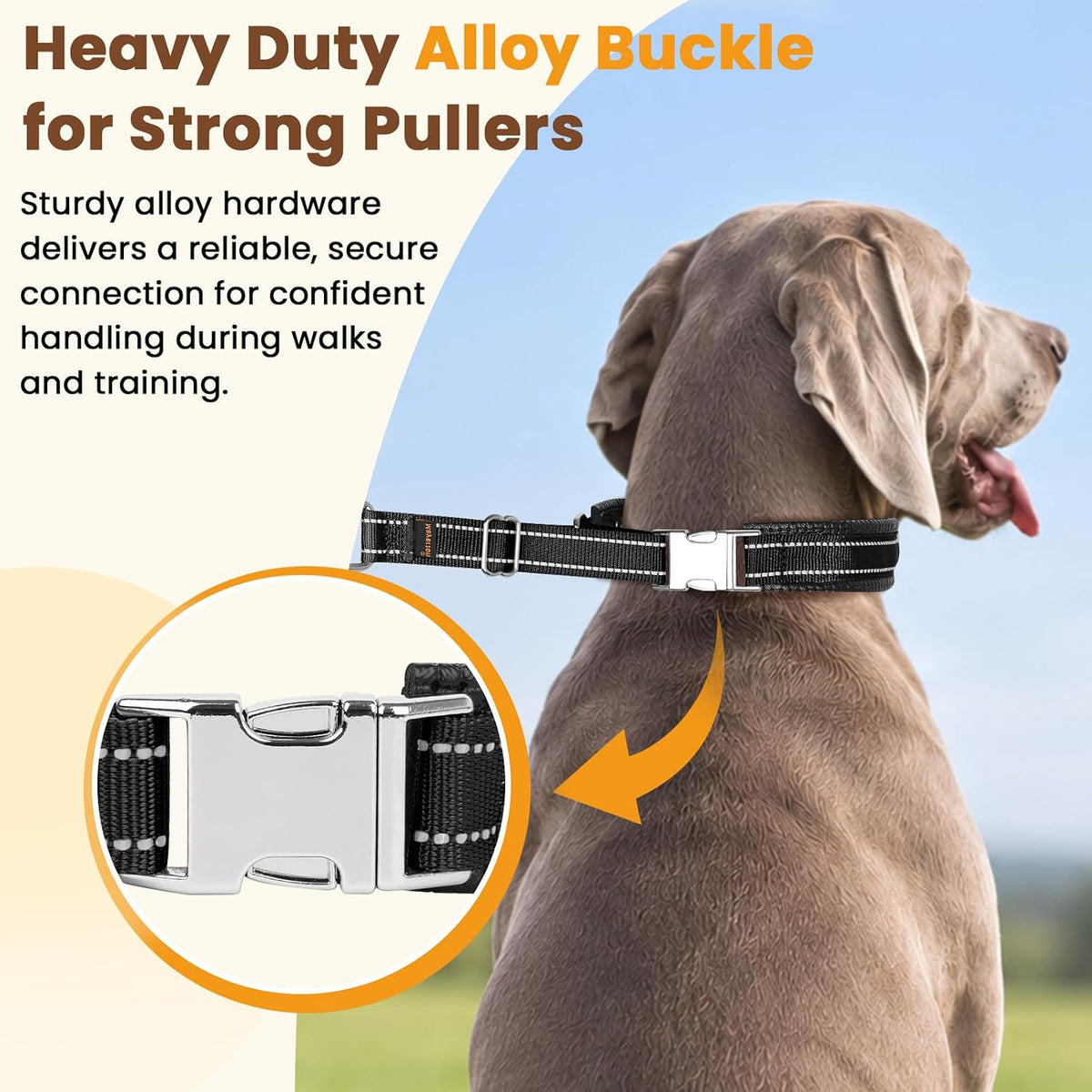 Mayerzon No Pull Collar with Alloy Buckle for Large Dogs that Pull Strongly