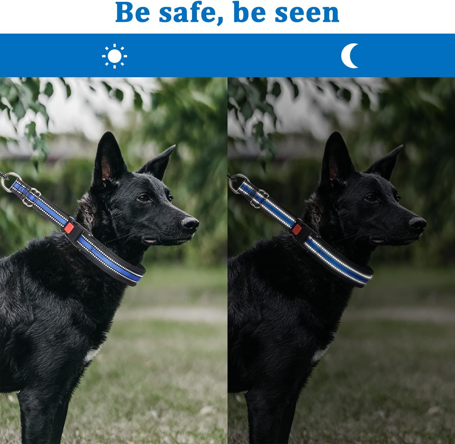 Mayerzon Martingale Collar for Small Medium Large Dogs, Patented Anti Pull Dog Collar with Reflective Strip and Buckle for Walking Training, Safe for Night Walk(M, Black)