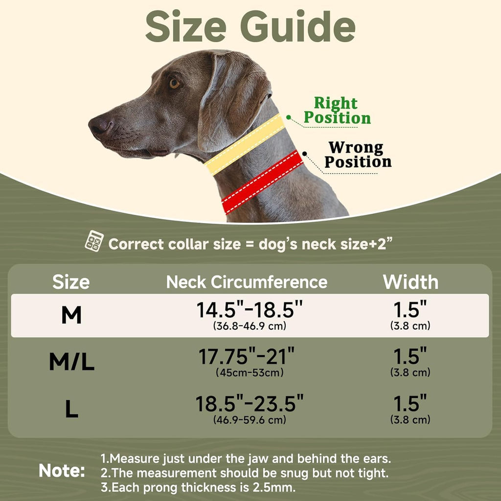 Mayerzon Martingale No Pull Dog Collar for Walking Training | Khaki, M