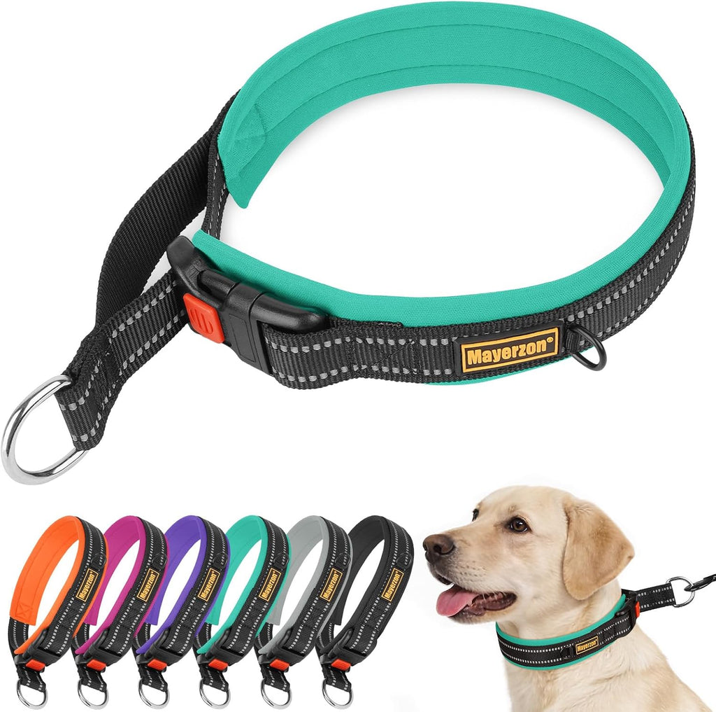 1.5" Martingale Collar for Small/Medium Dogs