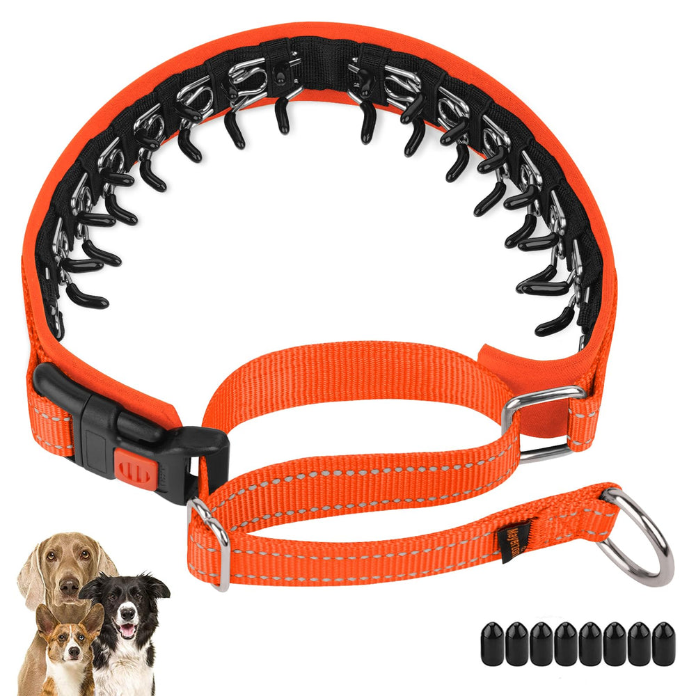 Mayerzon No Pull Dog Collar Martingale, Green, M | Neck Cir 14.5"-18.5"