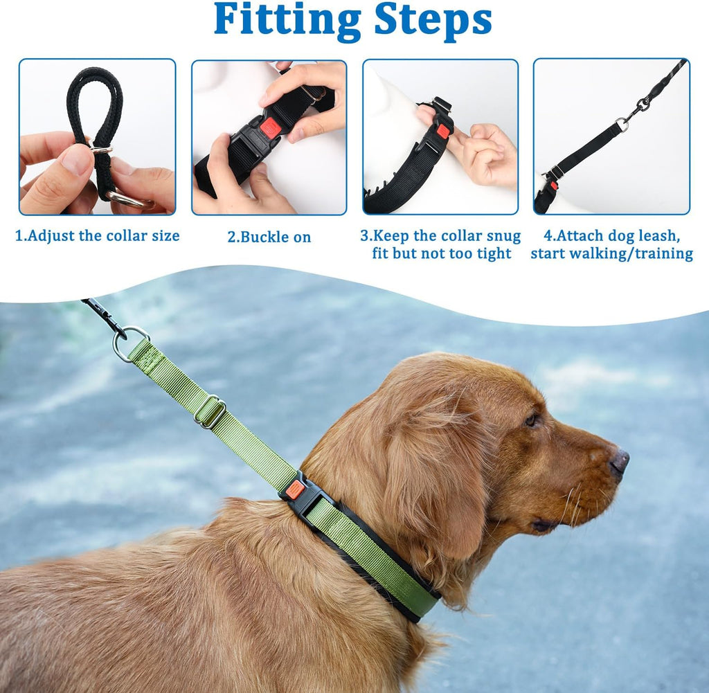Mayerzon No Pull Dog Collar Martingale, Green, M | Neck Cir 14.5"-18.5"