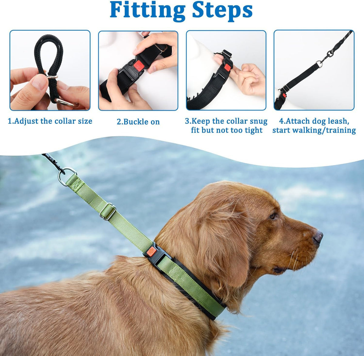 Mayerzon No Pull Dog Collar Martingale, Green, M | Neck Cir 14.5"-18.5"