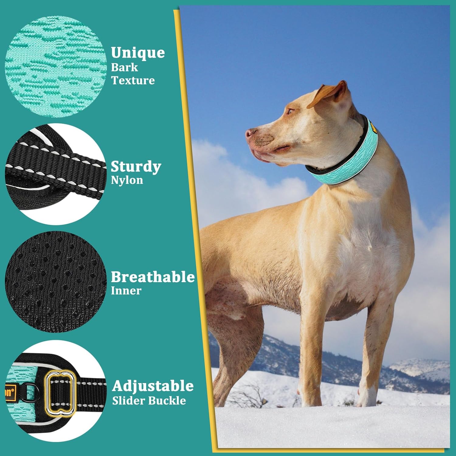 Mayerzon Martingale No Pull Collar for Large Medium Dogs Pitbull German Shepherd Rottweilers, Patented Reflective Anti Pull Dog Walking Collar with Buckle for Training Hiking, Adjustable(L, Cyan)