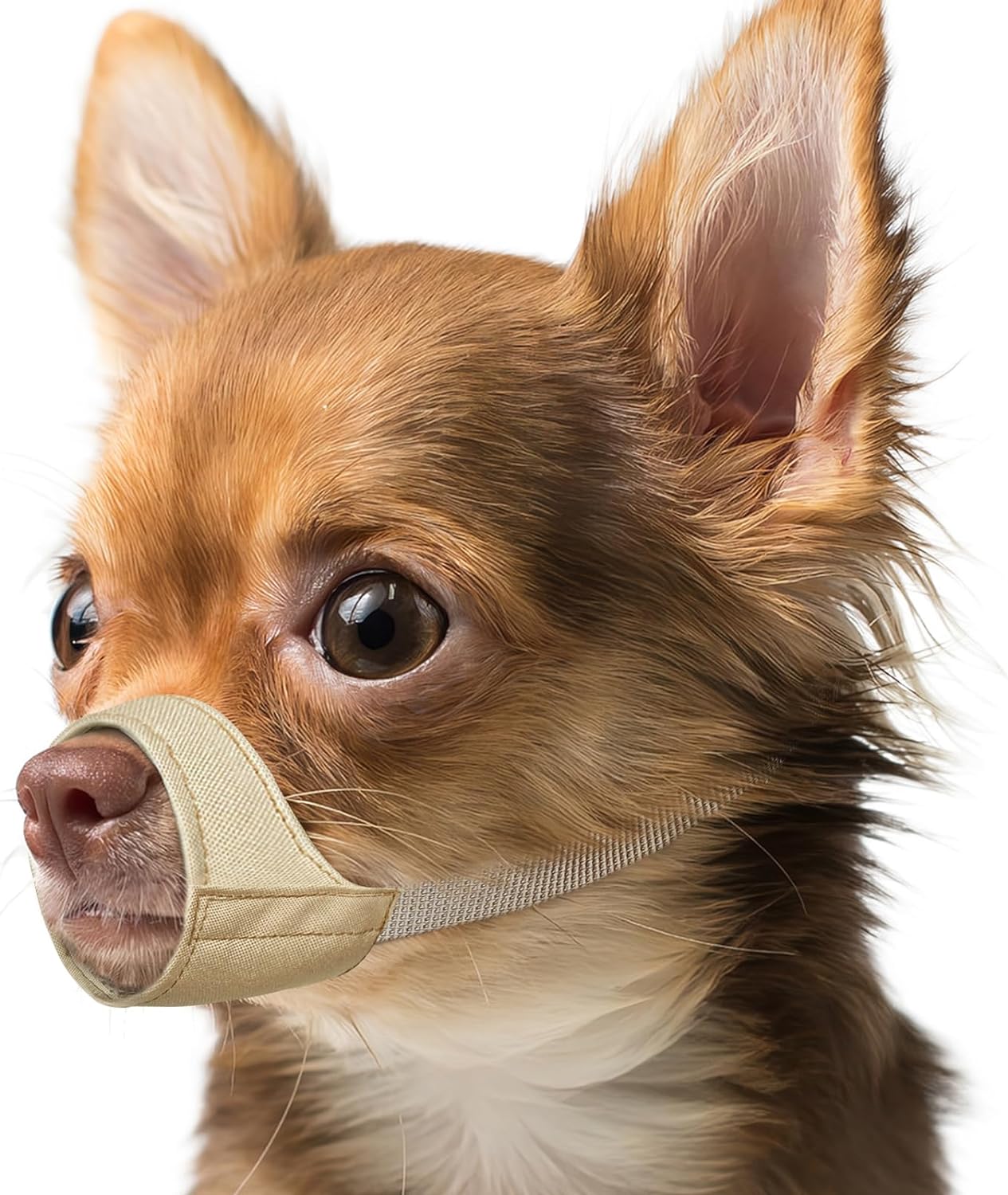 Mayerzon Short Snout Dog Muzzle, Small Muzzle for Chihuahua Shih Tzu American Bully Boxer Puppy, Soft Fabric Mouth Cover for Grooming Vet Visits, Prevent Biting Chewing Fighting