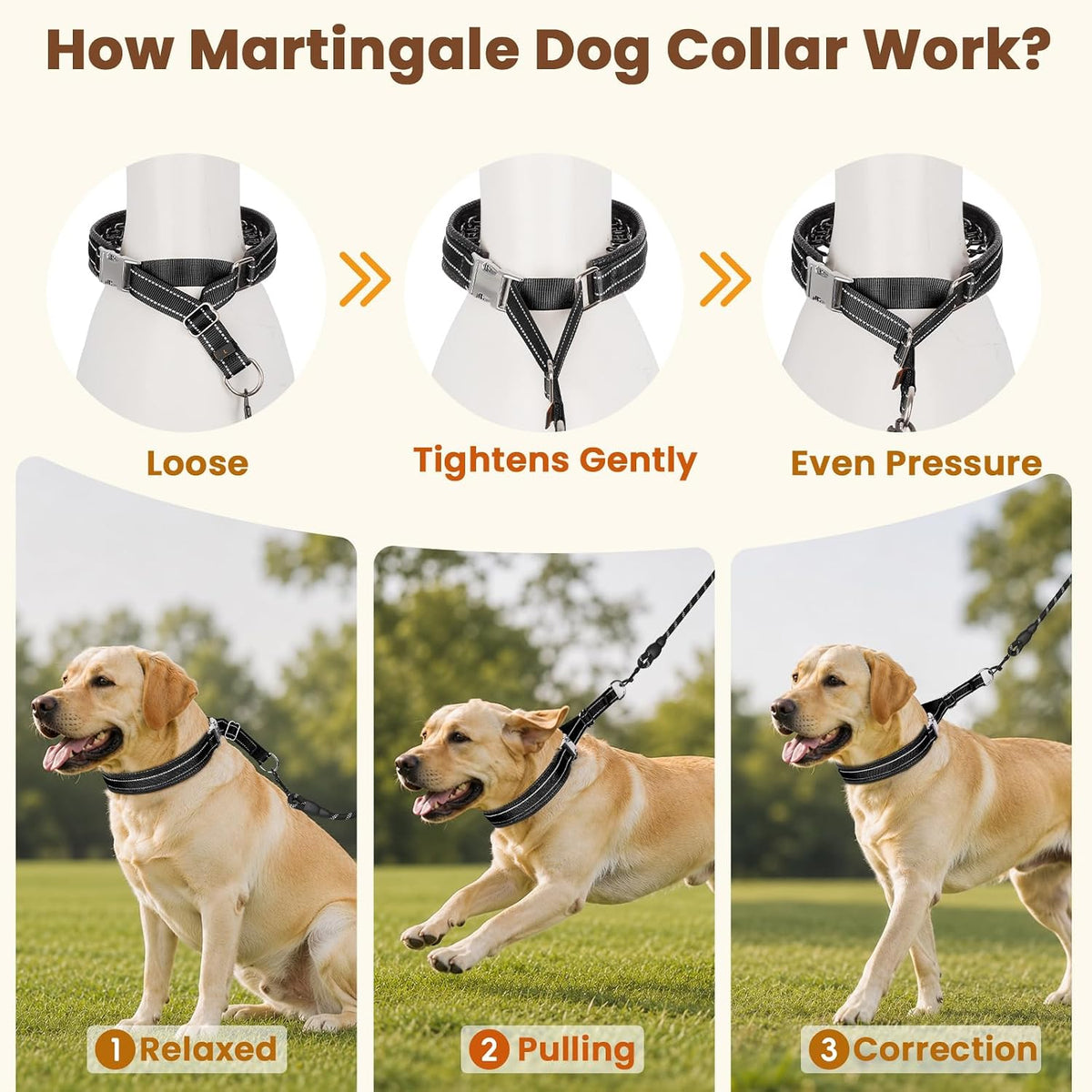 Mayerzon No Pull Collar with Alloy Buckle for Large Dogs that Pull Strongly