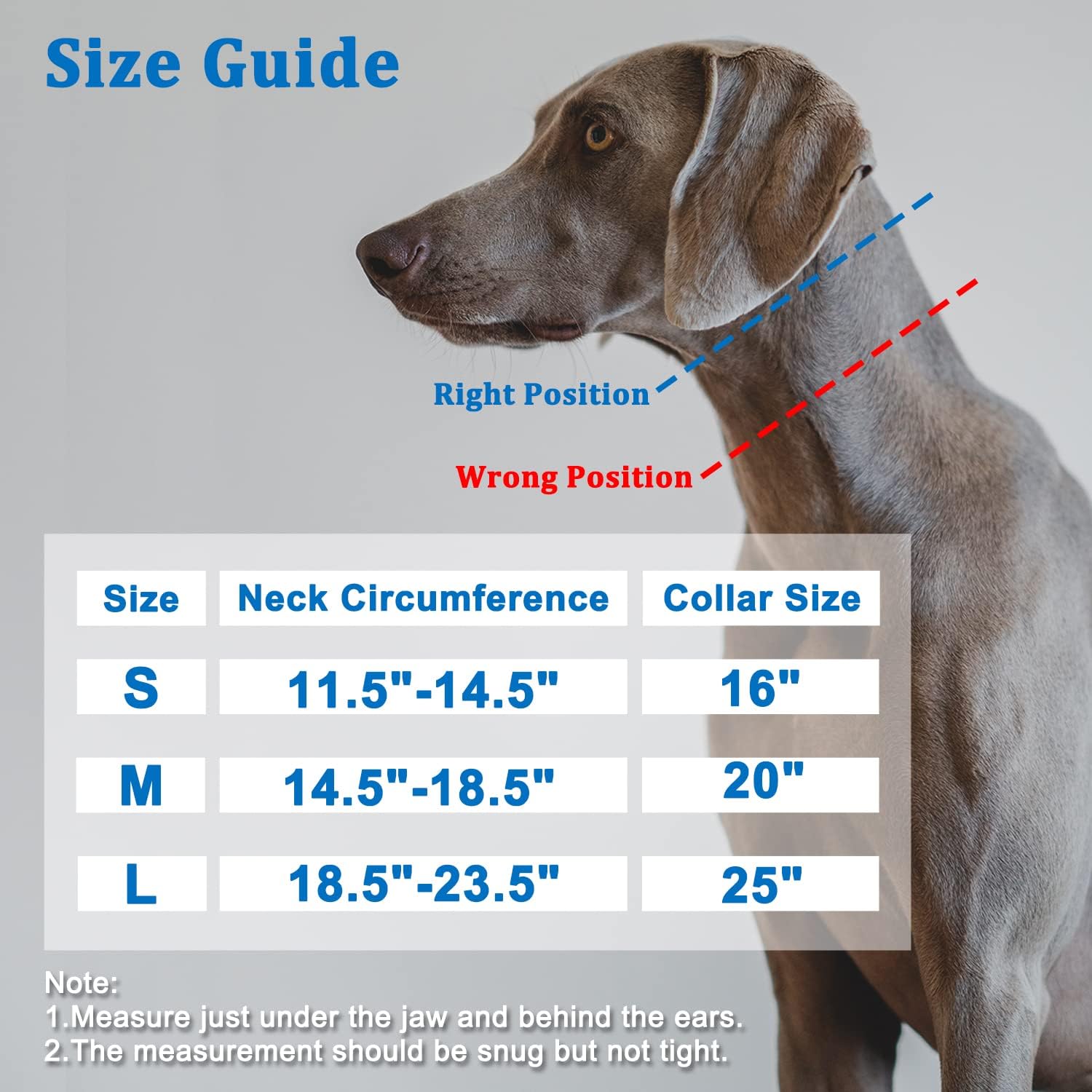 Mayerzon Martingale Collar for Small Medium Large Dogs, Patented Anti Pull Dog Collar with Reflective Strip and Buckle for Walking Training, Safe for Night Walk(M, Black)