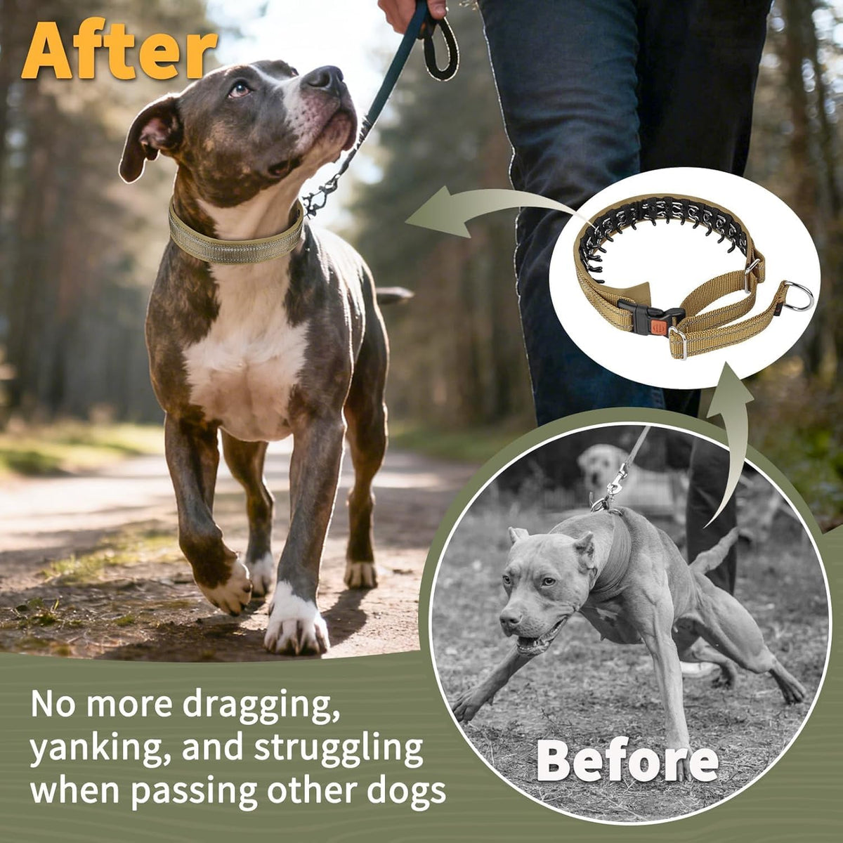 Mayerzon Martingale No Pull Dog Collar for Walking Training | Khaki, M