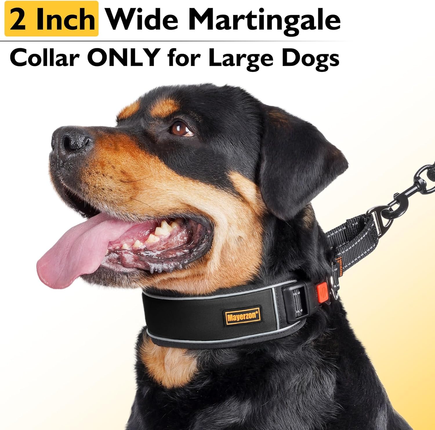 Mayerzon 2 Inch Wide Martingale Collar for Large Dogs, Patented No Pull Walking Training Dog Collar for Pitbull German Shepherd, with Buckle, Reflective Stitching, Adjustable (Black, L)