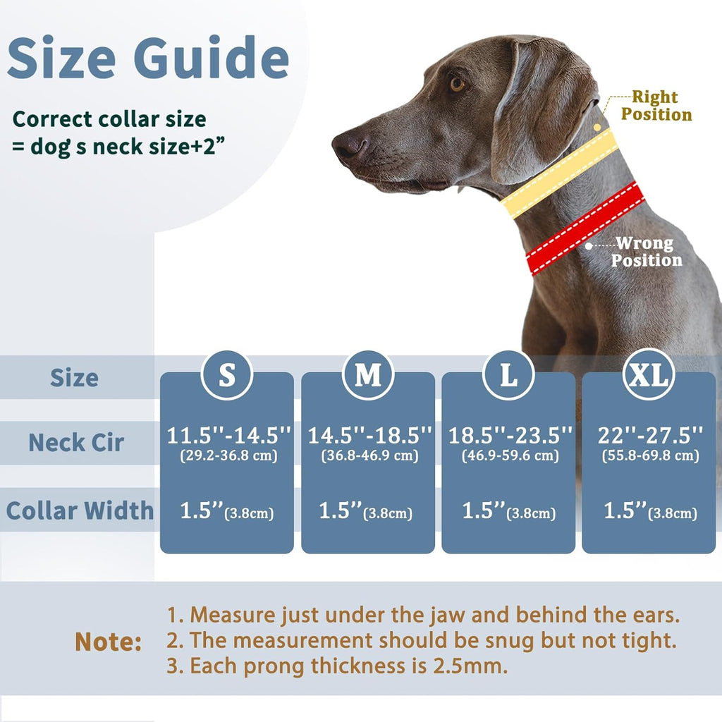 Mayerzon No Pull Dog Collar Martingale, Green, M | Neck Cir 14.5"-18.5"