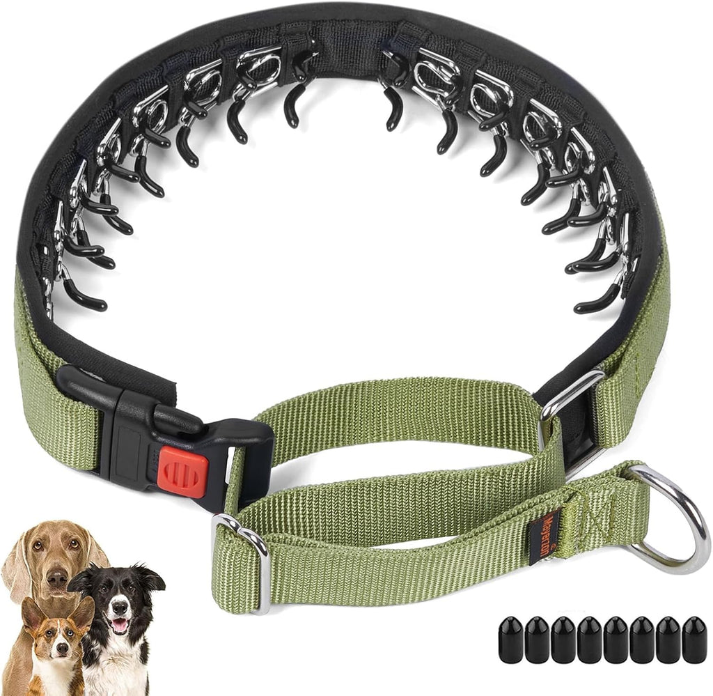 Mayerzon No Pull Dog Collar Martingale, Green, M | Neck Cir 14.5"-18.5"