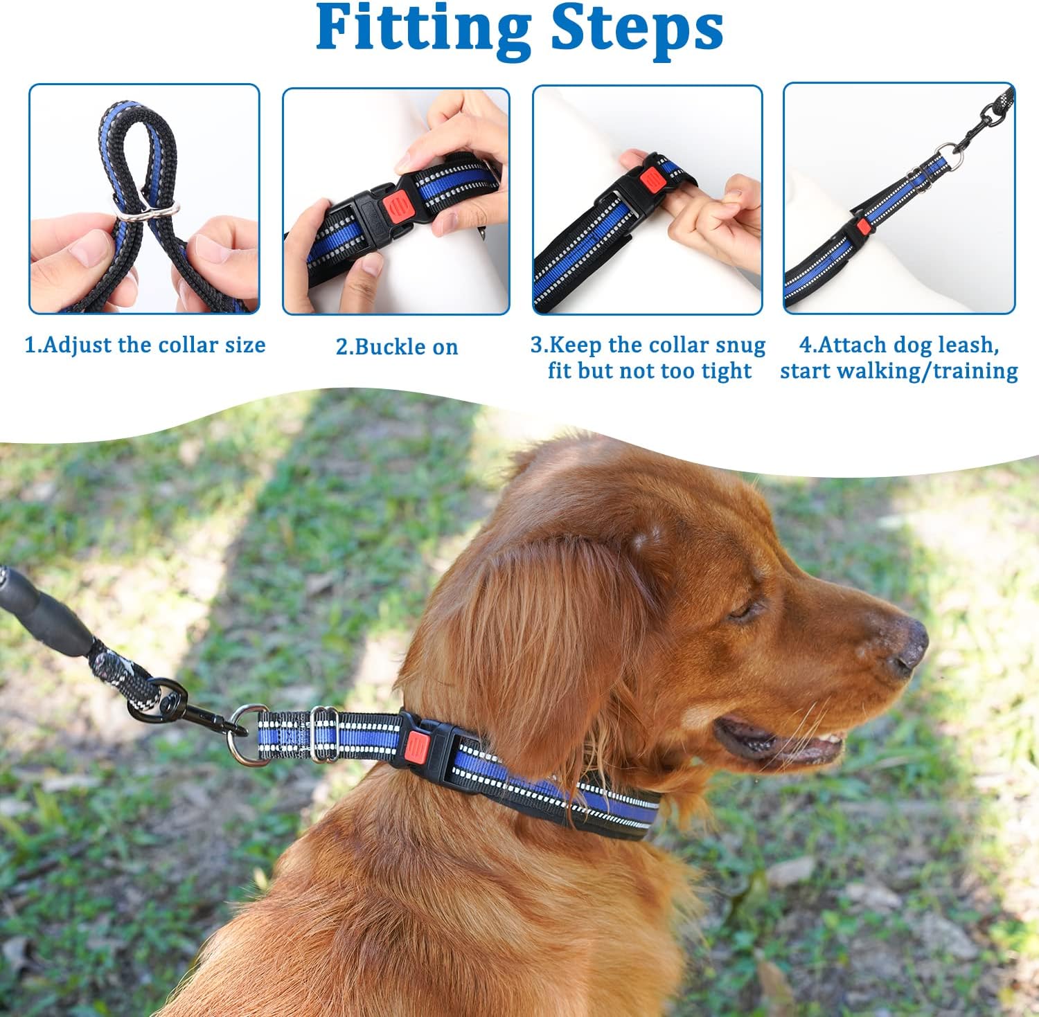 Mayerzon Martingale Collar for Small Medium Large Dogs, Patented Anti Pull Dog Collar with Reflective Strip and Buckle for Walking Training, Safe for Night Walk(M, Black)