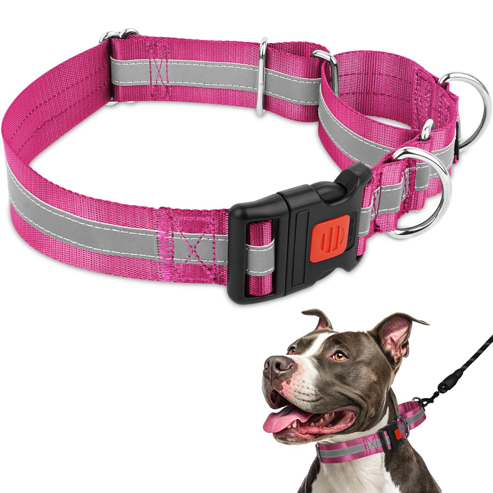 Mayerzon 1.5" Wide Martingale Collar for Large Dogs Pitbull Bully