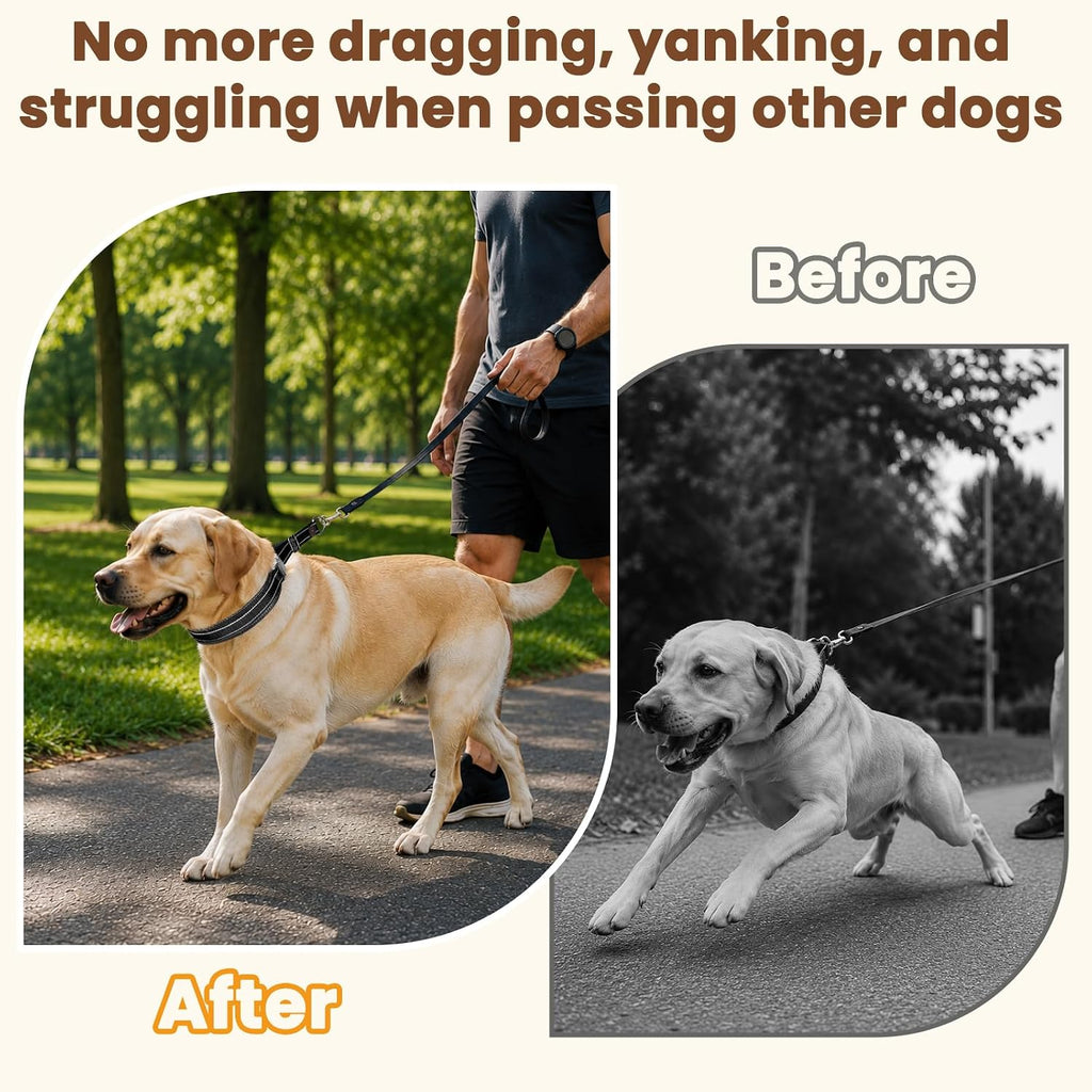 Mayerzon No Pull Collar with Alloy Buckle for Large Dogs that Pull Strongly