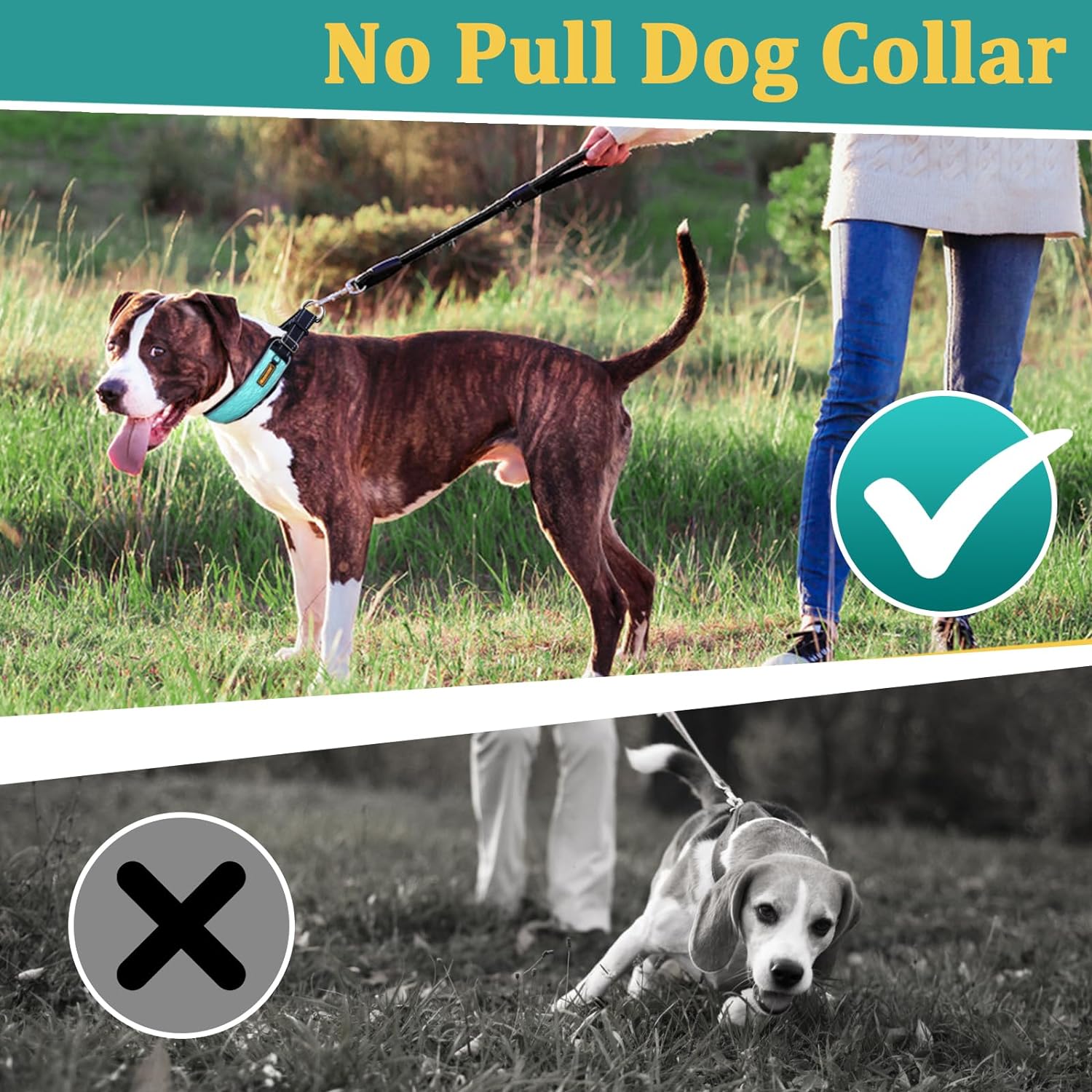 Mayerzon Martingale No Pull Collar for Large Medium Dogs Pitbull German Shepherd Rottweilers, Patented Reflective Anti Pull Dog Walking Collar with Buckle for Training Hiking, Adjustable(L, Cyan)
